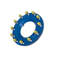 Blue studded reducer flange with yellow-capped nuts.