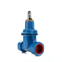 Blue cast iron service valve with internal threads, rated for 16 Bar.