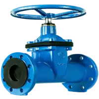 Blue cast iron oval body gate valve with flanged ends, rated for 10/16 bar pressure.