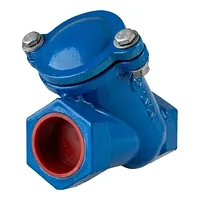 Blue cast iron threaded ball check valve, 10/16 Bar pressure rating.