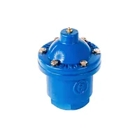 Blue PN16 cast iron threaded single ball air valve.
