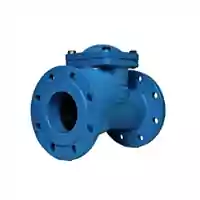Blue flanged cast iron ball check valve, 16 Bar.