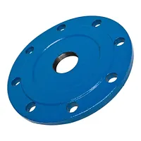 PN16 threaded flange with a blue protective coating.