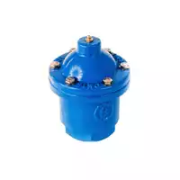 Blue PN16 cast iron threaded single ball air valve.