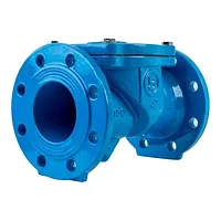Blue 10 Bar cast iron swing check valve with flanges.