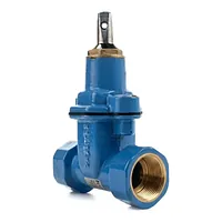 Robinet de concesie din fontă ductilă FI-FI BLUCAST Seria 015 PN16