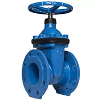 Blue PN16 cast iron gate valve with 16 Bar pressure rating.