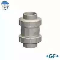 Type 562 PP-H check valve with 10 Bar pressure rating.