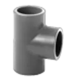 Teu