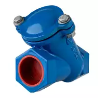 Blue cast iron threaded ball check valve, 10/16 Bar pressure rating.