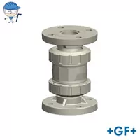 Georg Fischer Type 561 check valve in PP-H with fixed flanges, 10 Bar.