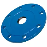 PN16 threaded flange with a blue protective coating.