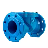 Blue cast iron swing check valve PN10 with flanged ends.