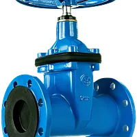 Blue cast iron oval body gate valve with flanged ends, rated for 10/16 bar pressure.