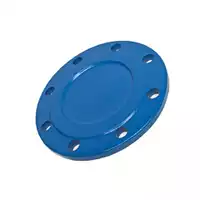 Industrial blue blind flange with a raised face.