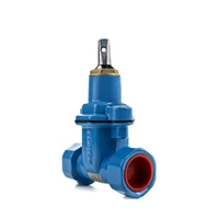 Blue cast iron service valve with internal threads, rated for 16 Bar.