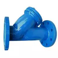 Blue cast iron Y-strainer with 10/16 Bar flanged connections.