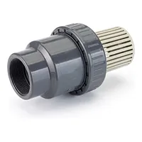 PVC-U B.S.P. threaded foot valve with a PP screen, rated for 16 Bar.