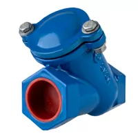 Blue cast iron threaded ball check valve, 10/16 Bar pressure rating.