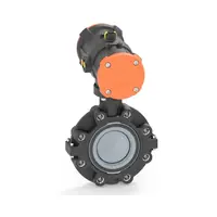 Lug-style butterfly valve 243 ABS DA