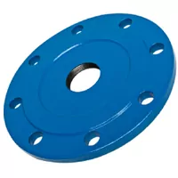 PN16 threaded flange with a blue protective coating.