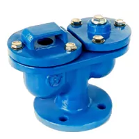 Cast iron double air valve with a 10/16 bar pressure rating.