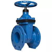 Blue PN16 cast iron gate valve with 16 Bar pressure rating.